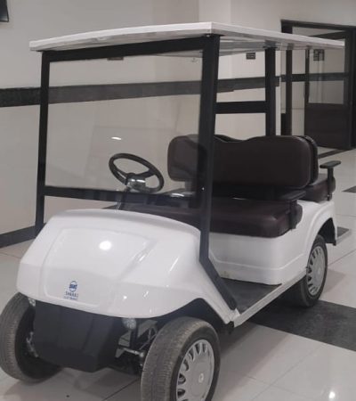 electric golf cart