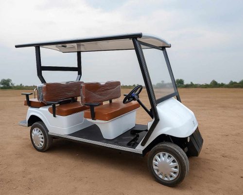 electric golf cart